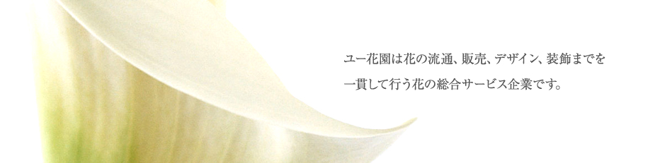 ユー花園は花の流通、販売、デザイン、装飾までを一貫して行う花の総合サービス企業です。