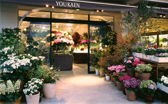 ユー花園 下北沢本店