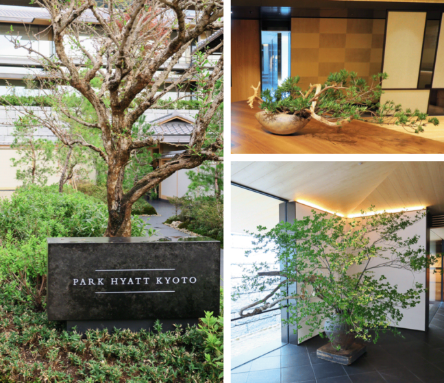 parkhyattkyoto Open